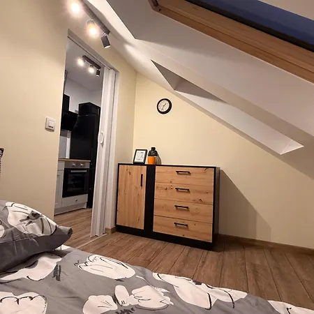 Apartment Comfort Krakau